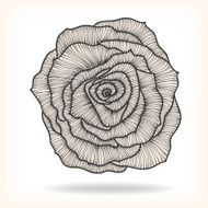 Floral Rose Elements for design EPS10 Vector background N2