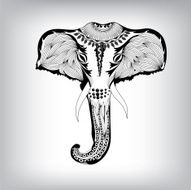 elephant002