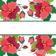 Frame with floral background N17