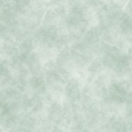 Grunge abstract background N290