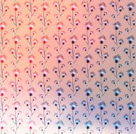 Abstract Background for Design N105