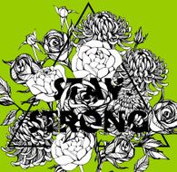 beautiful flower background art N227