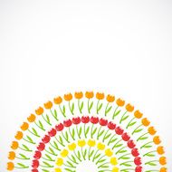 Floral Background with Tulips Vector Illustration N2