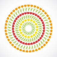 Floral Background with Tulips Vector Illustration N4