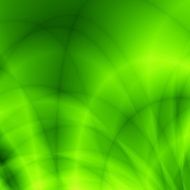 Green bright wallpaper nature backdrop