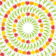 Floral Background with Tulips Vector Illustration N7