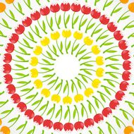 Floral Background with Tulips Vector Illustration N8