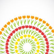 Floral Background with Tulips Vector Illustration N9