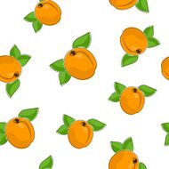 Seamless Pattern of Apricot