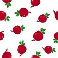 Seamless Pattern of Pomegranate