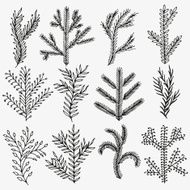 Hand drawn vector design floral elements