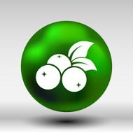 blueberry farm juicy illustration logo symbol vector N6