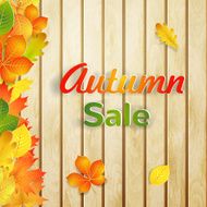 Autumn sale background N2