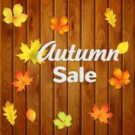 Autumn sale background N3
