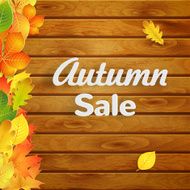 Autumn sale background N4