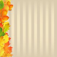 Autumn Background N61