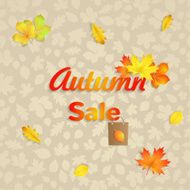 Autumn sale background N6