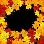 autumn background with maples leaves