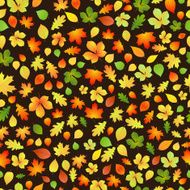 Seamless pattern of autumn leaves N9