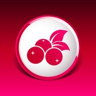 blueberry farm juicy illustration logo symbol vector N7
