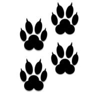 Paw Prints illustration