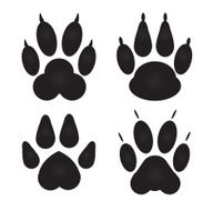 Different cat dog Paw Prints