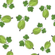 Seamless Pattern of Gooseberry