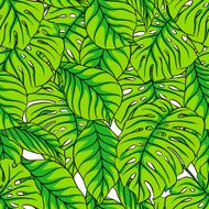 green palm leaves