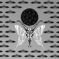 Abstract gothic N289