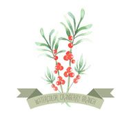 Berry branch watercolor vector handpainted set N2