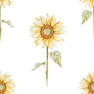 Watercolor sunflower pattern