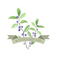 Berry branch watercolor vector handpainted set N3
