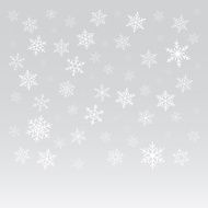 Vector background - snowflakes N2