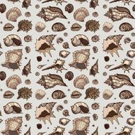 Seamless pattern of Sea shells N18