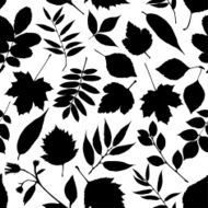 Vector autumn leaves collection N2