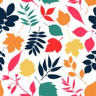 Vector autumn leaves collection N3