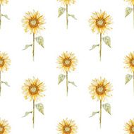 Watercolor sunflower pattern N4