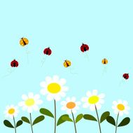 Ladybug N9