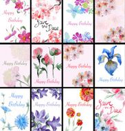 Set of handpainted watercolor flowers