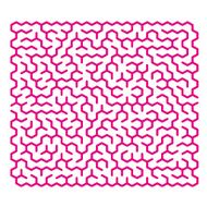 pink modern hexagon labyrinth N2