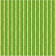 Bamboo N10