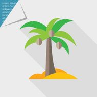 Coconut palm icon