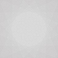 parallel radial background N2