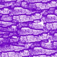 Grunge abstract background N427