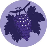 Bunch Of Grapes N4