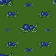 Vintage blueberry hand drawn seamless pattern Vector