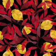 watercolor vector autumn pattern N16
