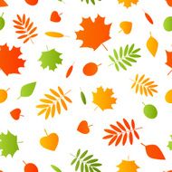 Seamless pattern with autumn leaves N30