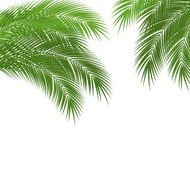 tropical leaves N6