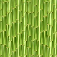 Green bamboo seamless texture